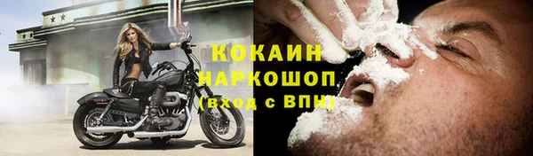 твердый Бородино