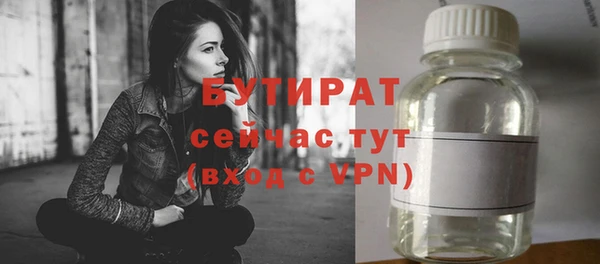 твердый Бородино