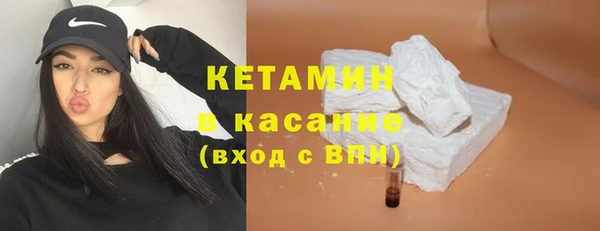 твердый Бородино
