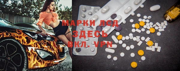твердый Бородино