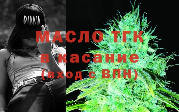 твердый Бородино