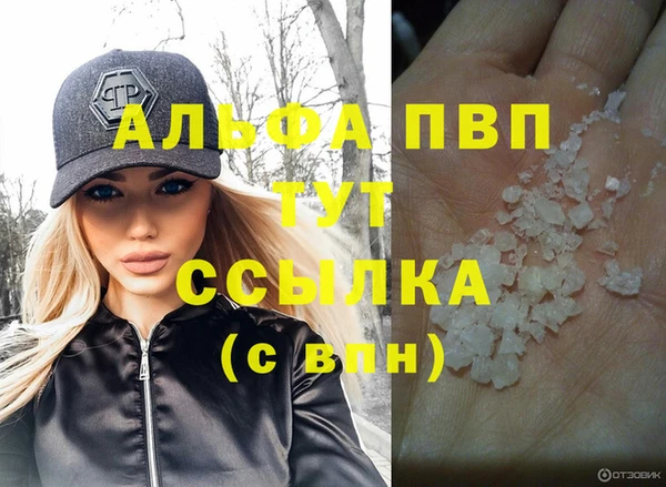 твердый Бородино