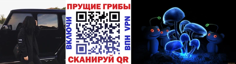 Псилоцибиновые грибы прущие грибы сайты даркнета наркотические препараты Корсаков